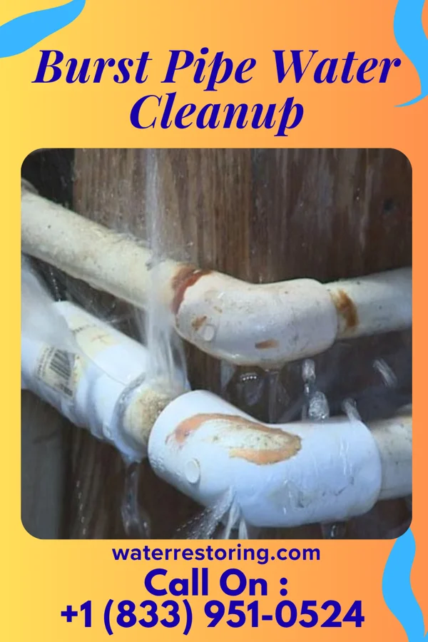 Burst Pipe Water Cleanup in Little Chute, WI