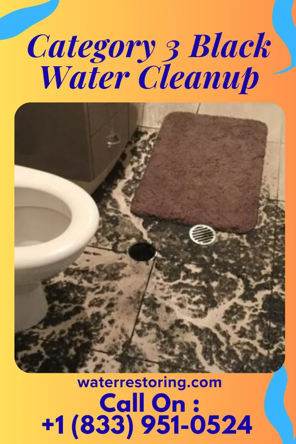 Category 3 Black Water Cleanup in Little Chute, WI